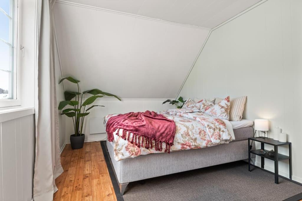 Appartement Leilighet I Bakklandet Med Parkering Og Hage à Trondheim Extérieur photo