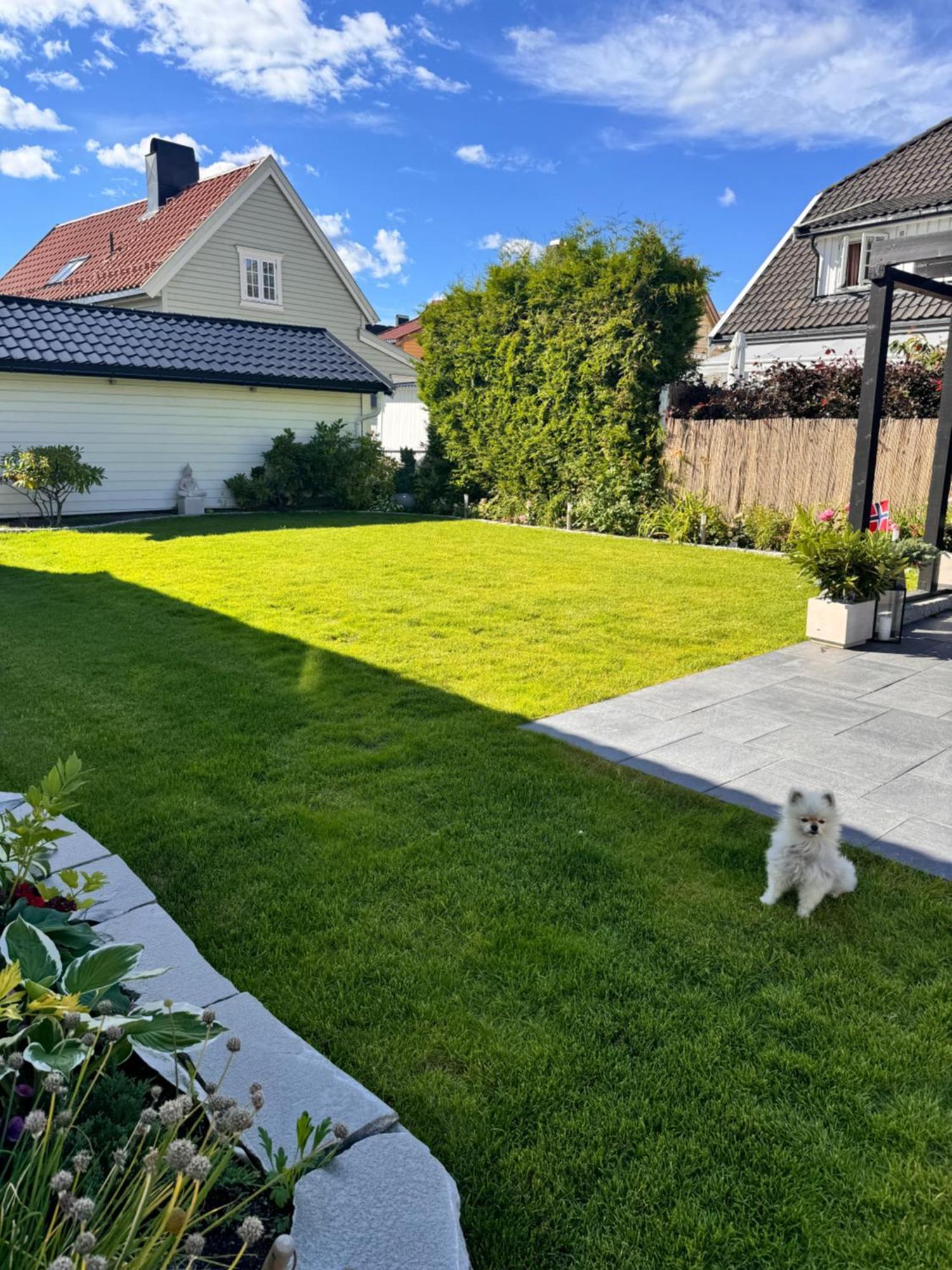 Appartement Leilighet I Bakklandet Med Parkering Og Hage à Trondheim Extérieur photo